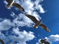 -丽江泸沽湖景区