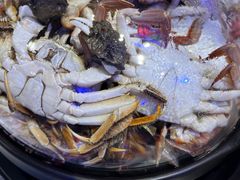 -半岛听涛蒸汽海鲜自助(K11店)