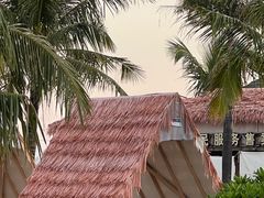 -西涌国际滨海旅游区