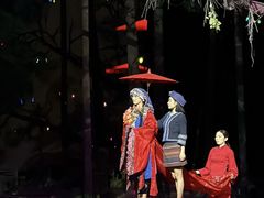 -三亚红色娘子军演艺公园景区