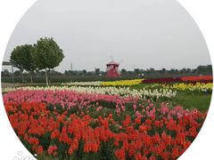 -金卉庄园
