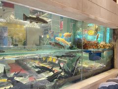 -万龙洲海鲜(广渠门店)