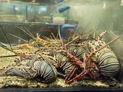 -Isla Sugbu Seafood City