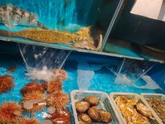 -福匠日本料理(人民路店)