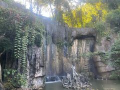 -西双版纳原始森林公园