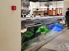-大榕树下顺德菜(融创茂店)