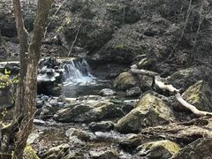 -香炉山国家森林公园