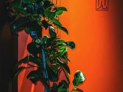 -LAMP BAR 水烟音乐酒吧