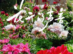 -长春公园(普阳街道)