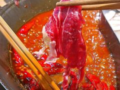 -阳阳老火锅(小南门店)