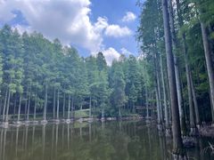-波尔登森林公园