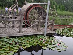 -溱湖国家湿地公园