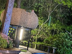 -天目湖涵田半山温泉