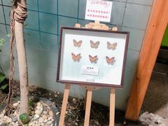 -上海大自然野生昆虫馆(东方明珠·爬宠昆虫探索中心)