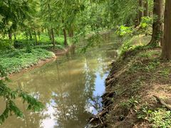 -上海长兴岛郊野公园