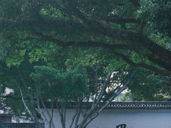 -墨池公园