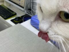 -拜鲁耶动物诊疗中心·宠家动物医院