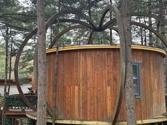 -洛阳白云山景区