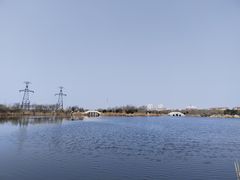 -大港湿地公园