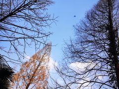 -潜山国家森林公园