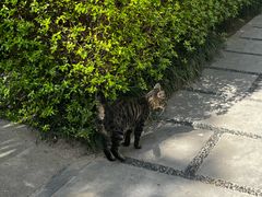 -南通博物苑-崇川人民公园