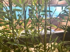 -寿州大饭店·餐厅