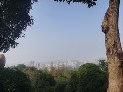 -潜山国家森林公园