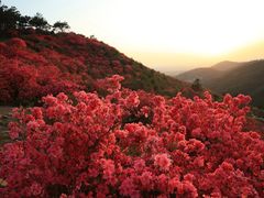 -木兰云雾山