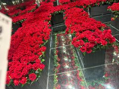 -上海梵高星空艺术馆(南京路旗舰店)