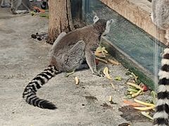 -水上乐园·欢乐世界