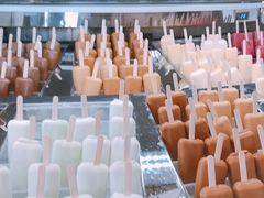 -Patagonia Chocolates(皇后镇店)