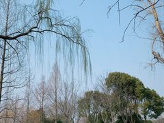 -尚贤河湿地