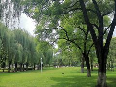 -高尔山公园