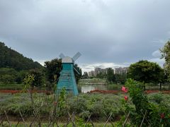 -南沙蒲洲花园