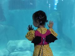 -福州罗源湾海洋世界旅游区