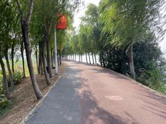 -艾溪湖湿地公园