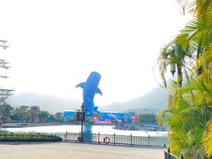 -珠海长隆海洋王国
