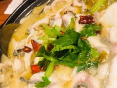 砂锅酸菜乌鱼片-陶德砂锅(蜀汉路店)