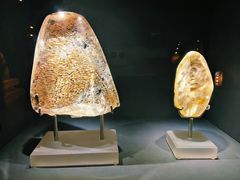 -杭州工艺美术博物馆