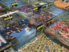 新鲜的海鲜区域-明记海鲜大排档(巽寮湾店)