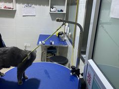 -佳雯宠物医院(金华南路分院)