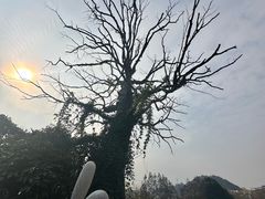 -明月山天沐温泉度假村