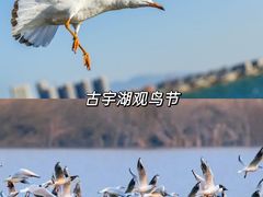 -古宇湖风景名胜区