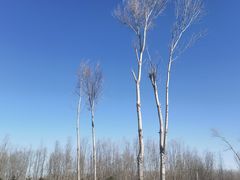 -东郊湿地公园