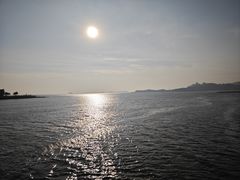 -野狸岛