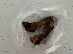 -波姐宠物家庭寄养