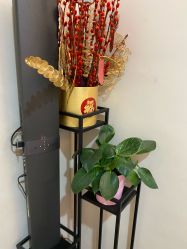 -苑苑vbeauty科技美容SPA