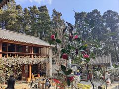 -寂照庵
