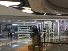-喜鼎海胆水饺(平安金融中心店)