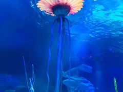 -沈阳海洋探索中心